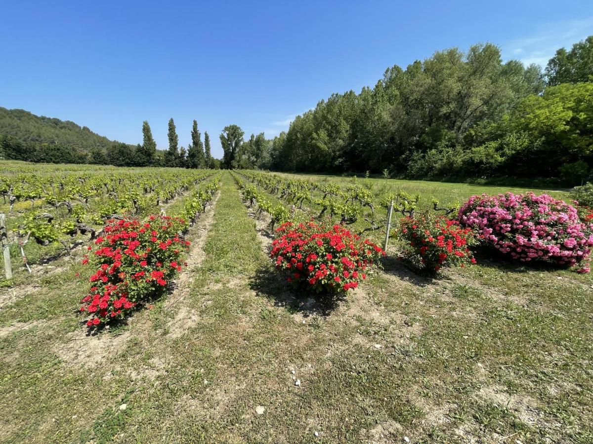 Chateau Talaud Loriol-du-Comtat Luaran gambar